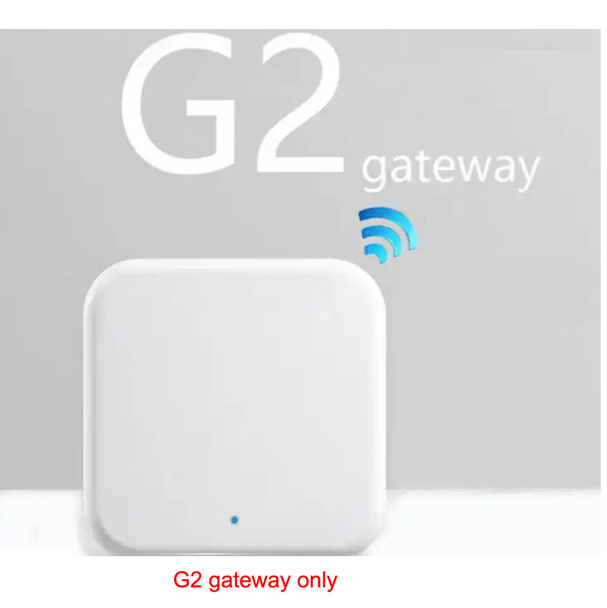 Gateway Wi-Fi TTLOCK G2 G3 per - Diy Electronics Button recensione e prezzo