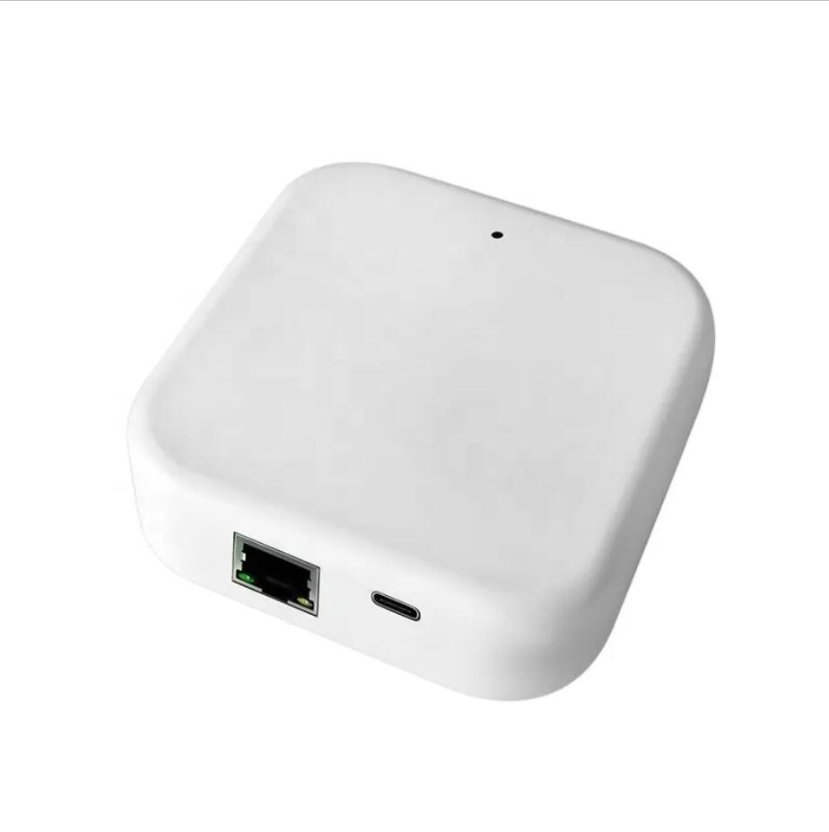 Gateway Wi-Fi TTLOCK G2 G3 per - Diy Electronics Button recensione e prezzo