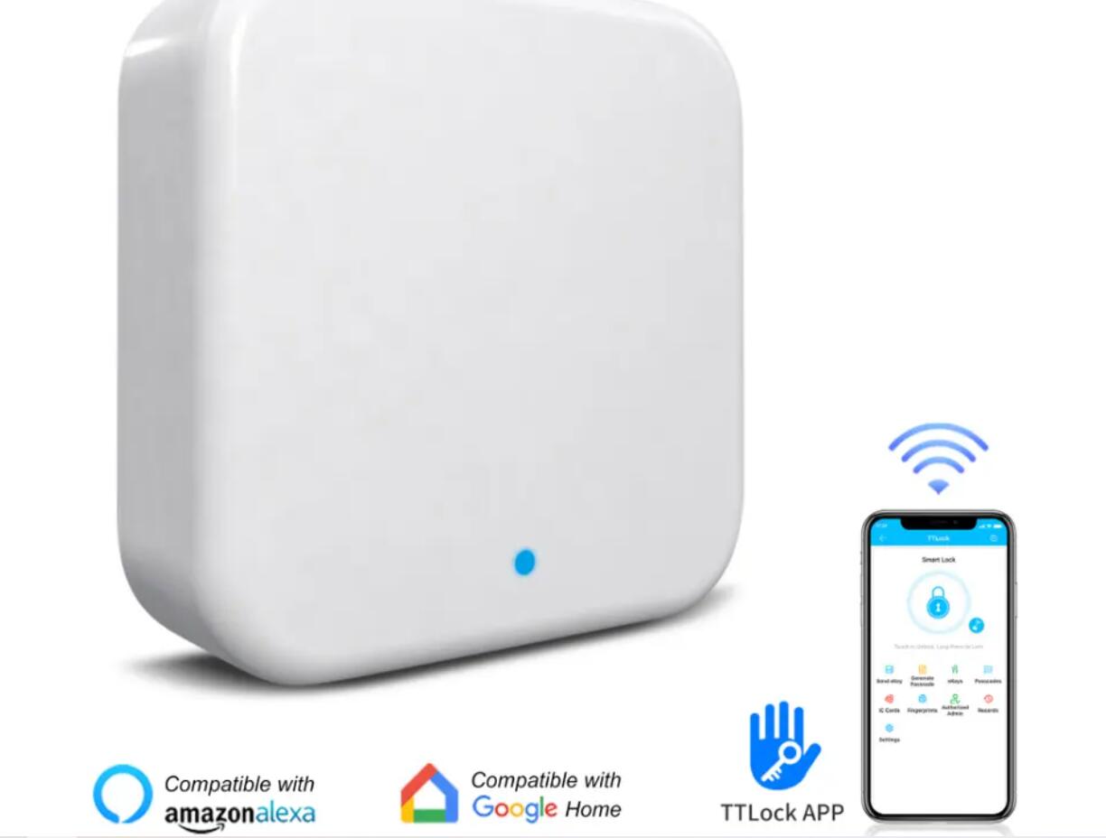 Gateway Wi-Fi TTLOCK G2 G3 per - Diy Electronics Button recensione e prezzo
