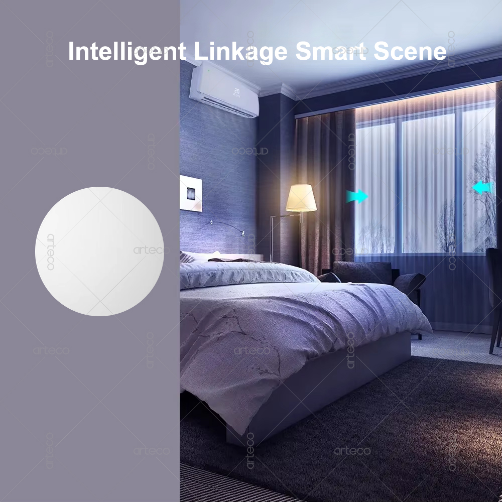 Interruttore a pulsante Zigbee - Diy Electronics Button recensione e prezzo